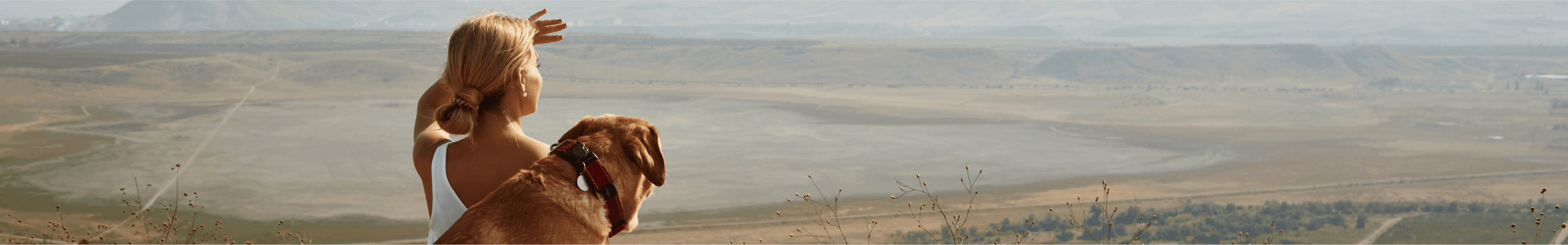 A dog sitting with it's owner looking at the horizon